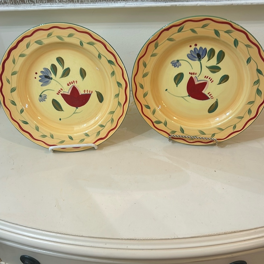 Pfaltzgraff "Napoli" 9 1/8 Inch Salad Hand-Painted. Set of 2.